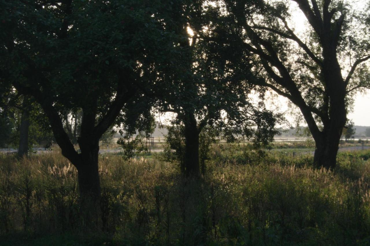 Poseritz Landhaus An Der Wiek מראה חיצוני תמונה